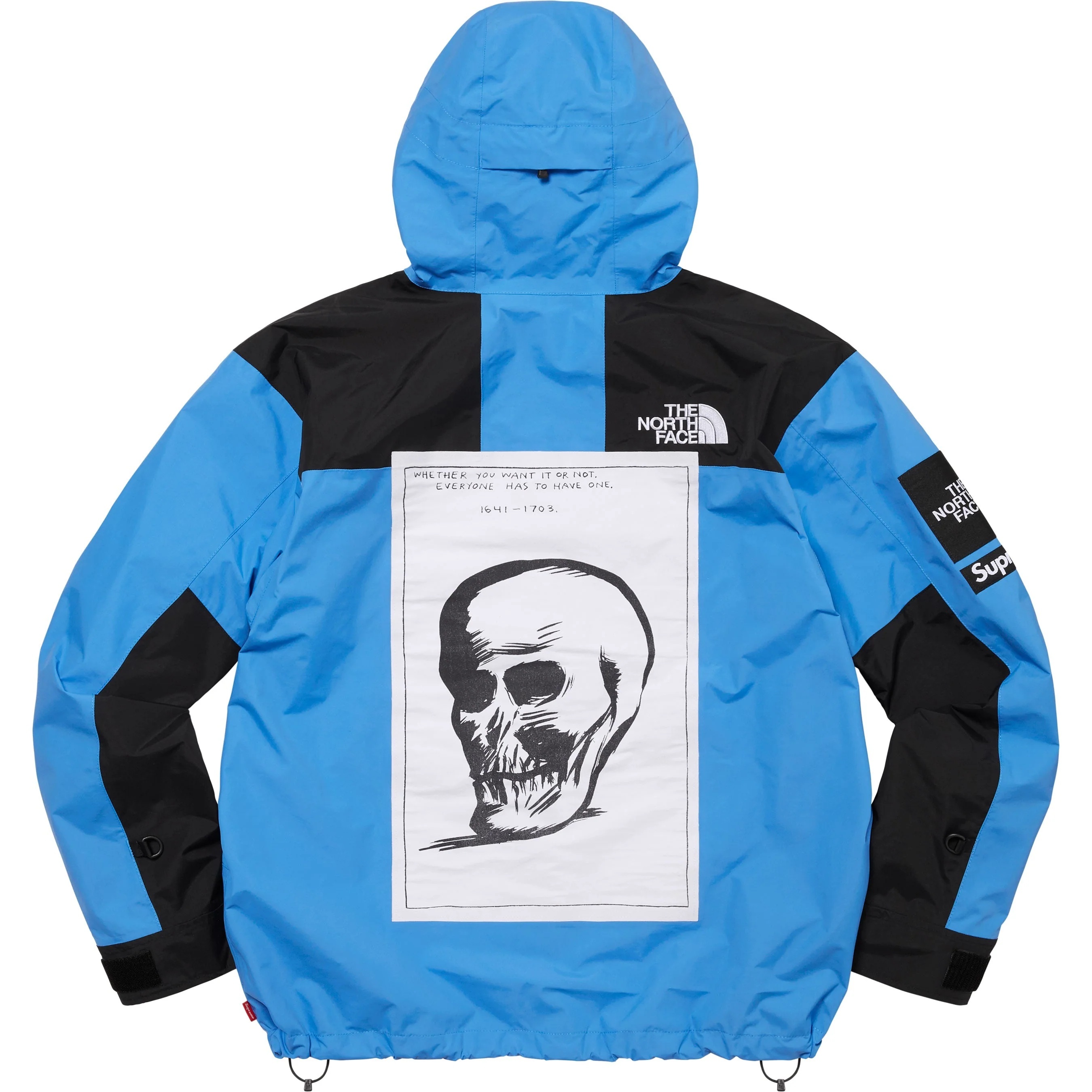 Supreme®/The North Face® Mountain Jacket view 3